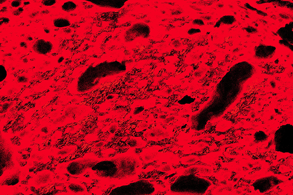 photographie experimentale